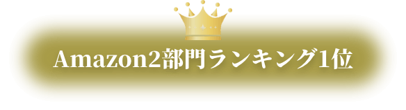Amazon2部門ランキング1位